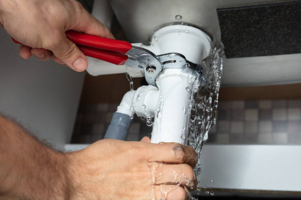 Best Professional water damage repair  in Abingdon, IL
