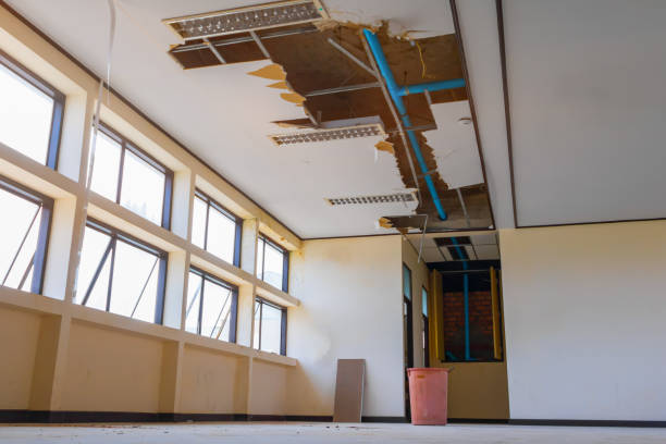 Best Carpet water damage restoration  in Abingdon, IL
