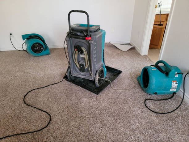 Best Water damage restoration cost  in Abingdon, IL