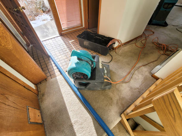 24/7 water damage repair in IL