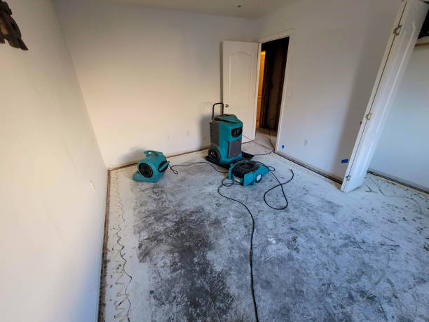 Best 24/7 water damage repair  in Abingdon, IL