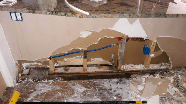 Best Local water damage restoration  in Abingdon, IL