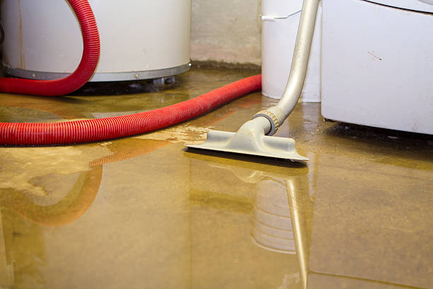 Best Water damage repair service  in Abingdon, IL