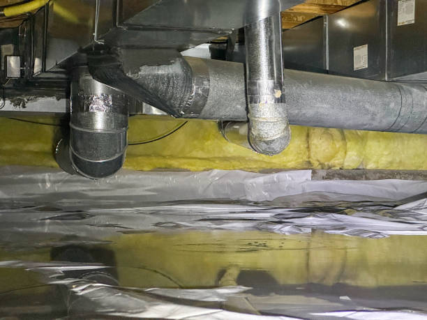 Best Carpet water damage restoration  in Abingdon, IL