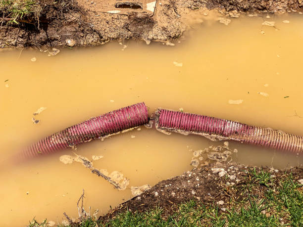 Best Water damage cleanup near me  in Abingdon, IL