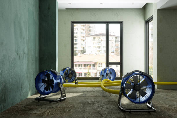 Best Commercial water damage restoration  in Abingdon, IL
