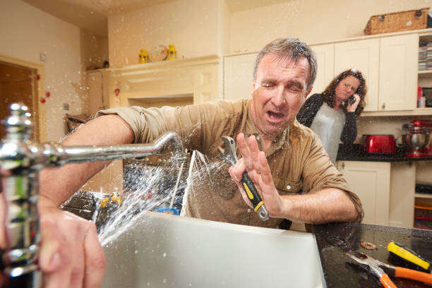 Best Mold removal after water damage  in Abingdon, IL